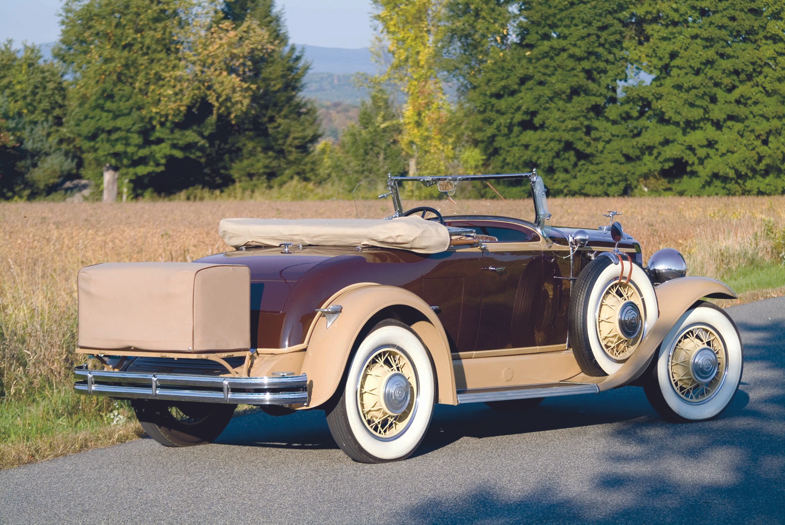 1931 Buick Series 60 - Rear 3/4