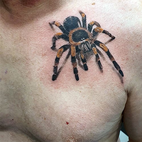 3D Tarantula Spider Tattoo