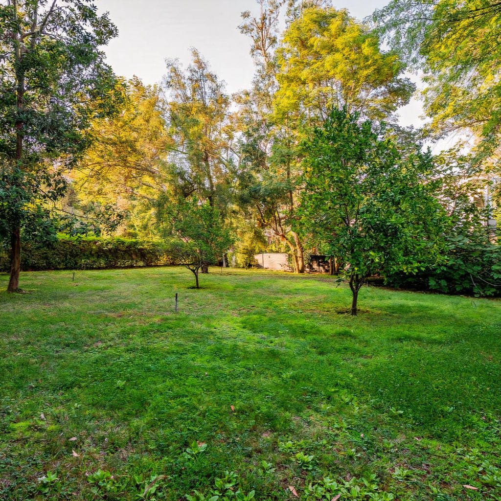 Backyard of Blake Griffin's Brentwood Home