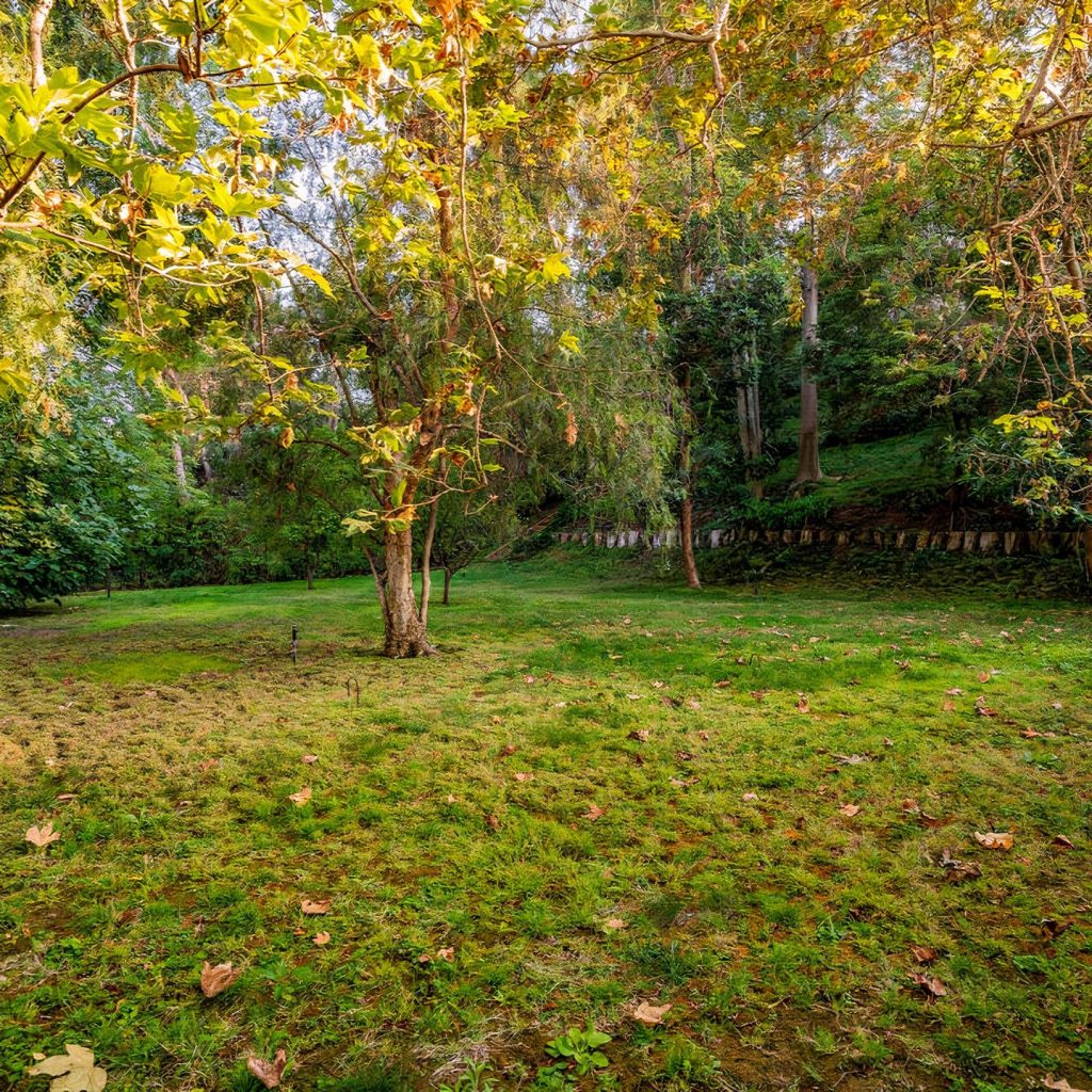 Backyard of Blake Griffin's Brentwood Home