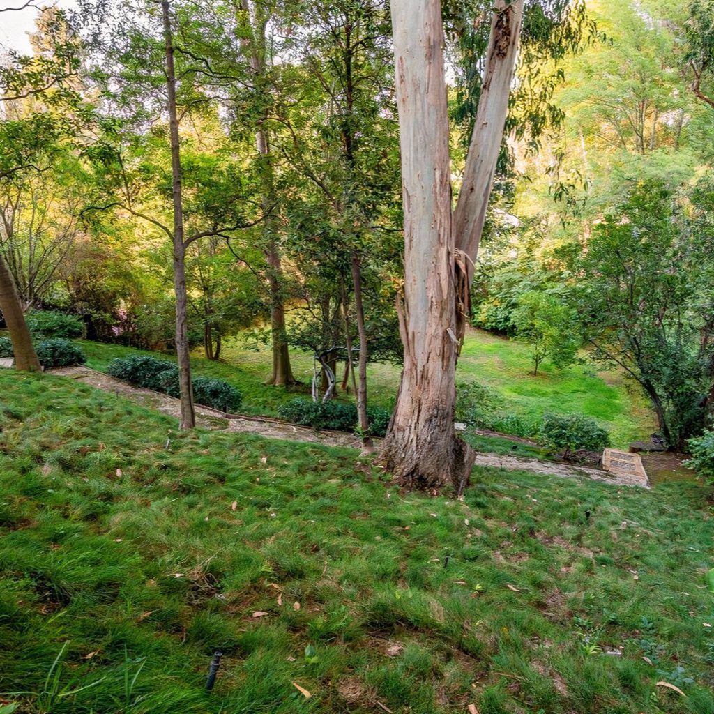 Backyard of Blake Griffin's Brentwood Home