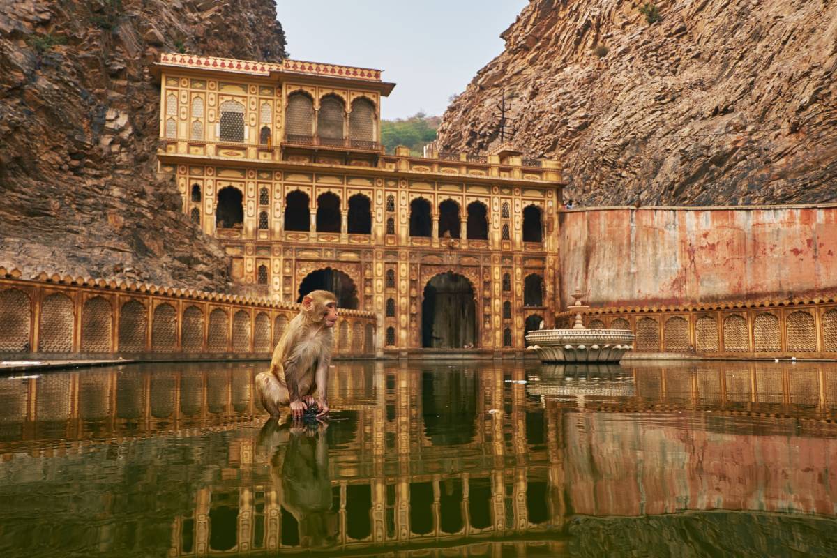 Đền Galta Ji, Jaipur, Ấn Độ