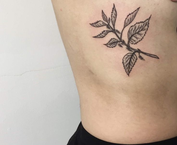 tiny sapling tattoo