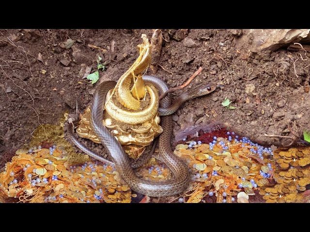 Underground treasures and ferocious snakes protect | Gold treasure Hunt Metal Detecting Videos - YouTube