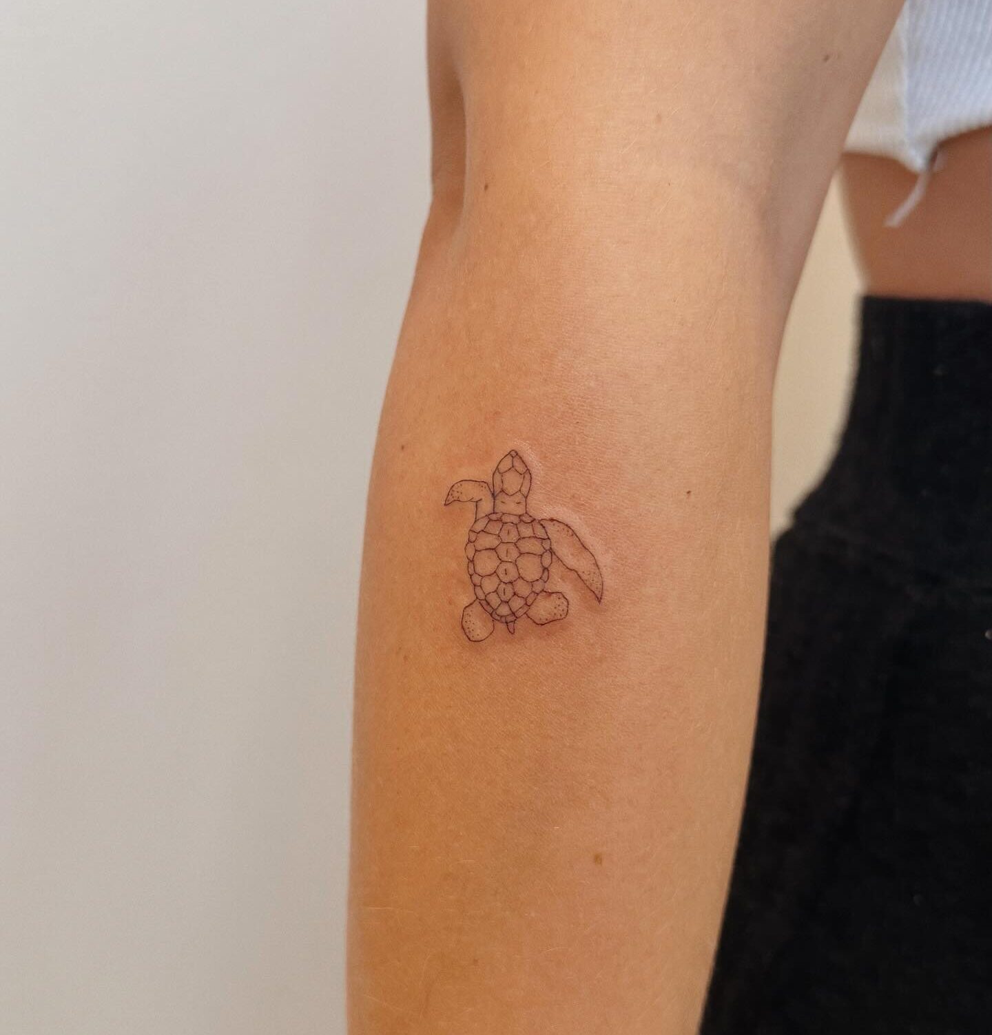 Fine line style small sea turtle tattoo on the forearm