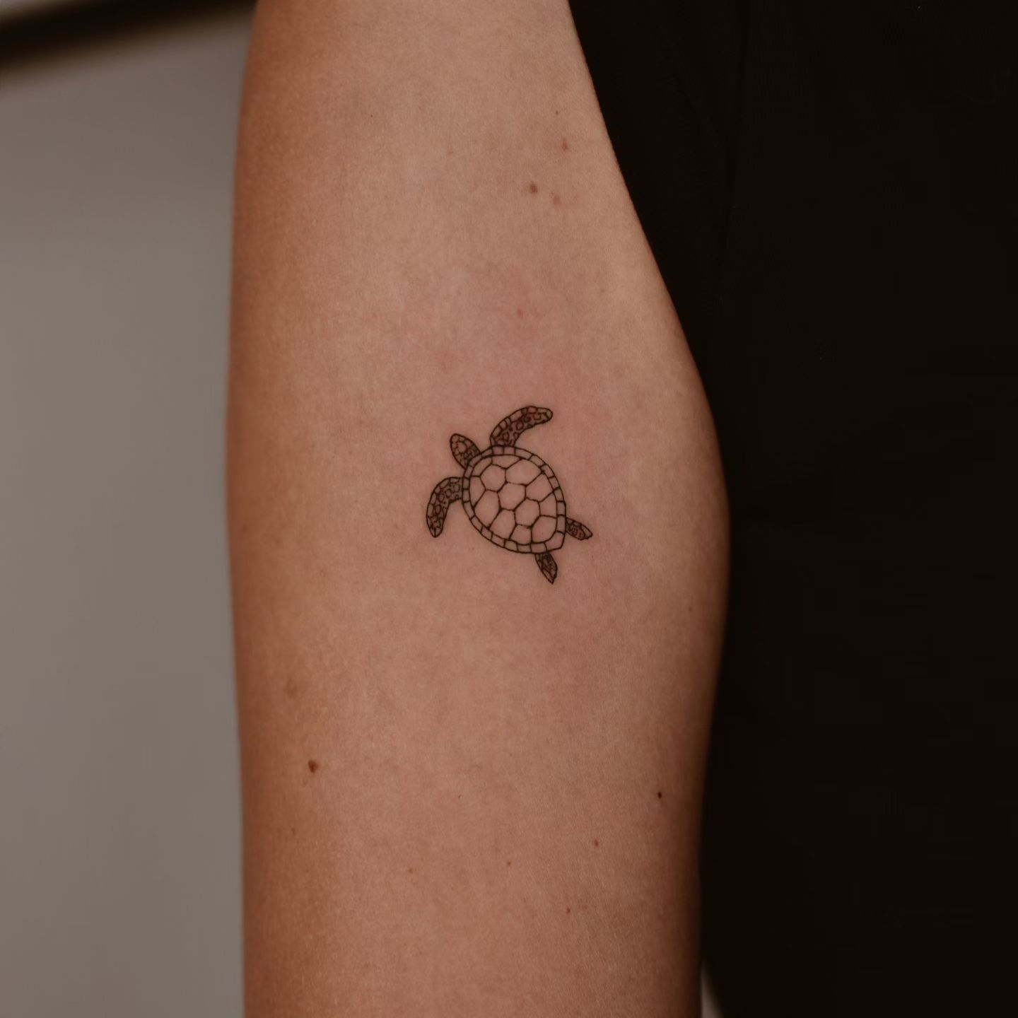 Fine line style small sea turtle tattoo on the upper arm
