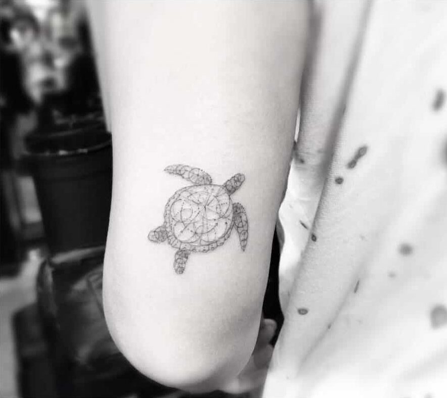 Single needle turtle tattoo on the outer arm
