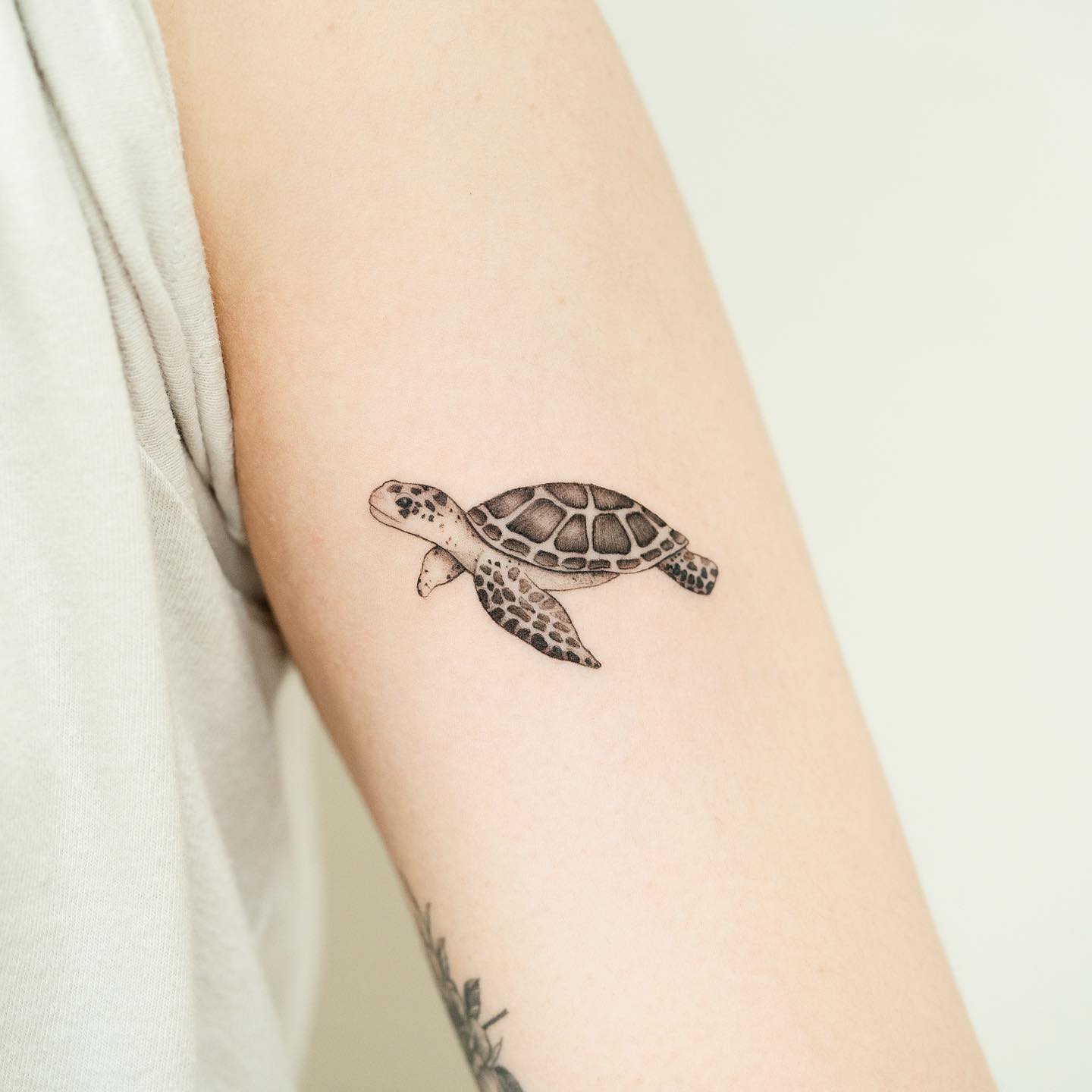 Sea turtle tattoo on the upper arm