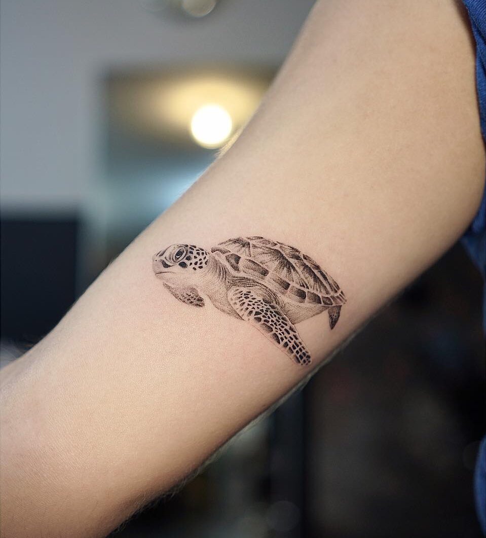 Micro-realistic turtle tattoo on the inner arm