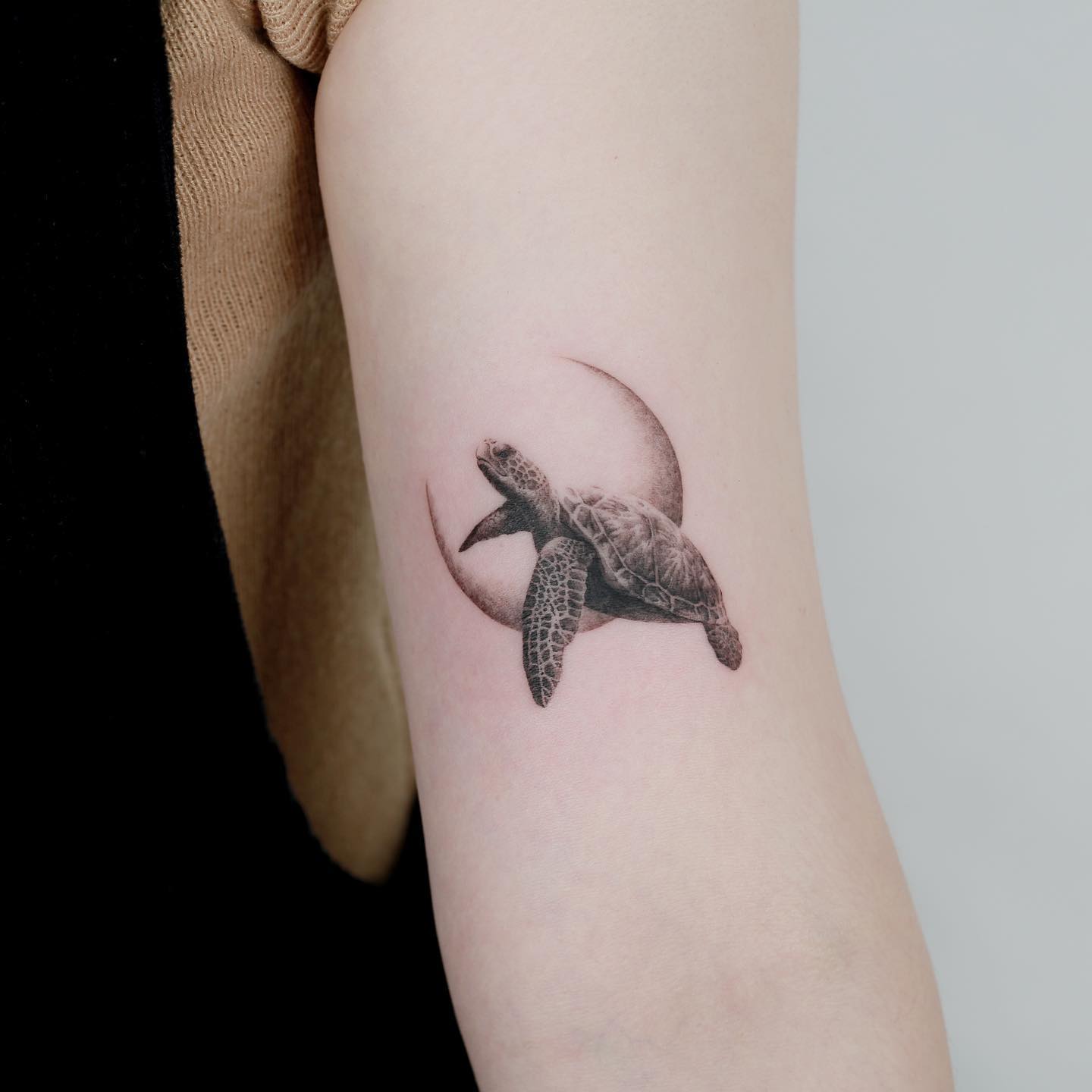 Micro-realistic turtle tattoo on the inner arm
