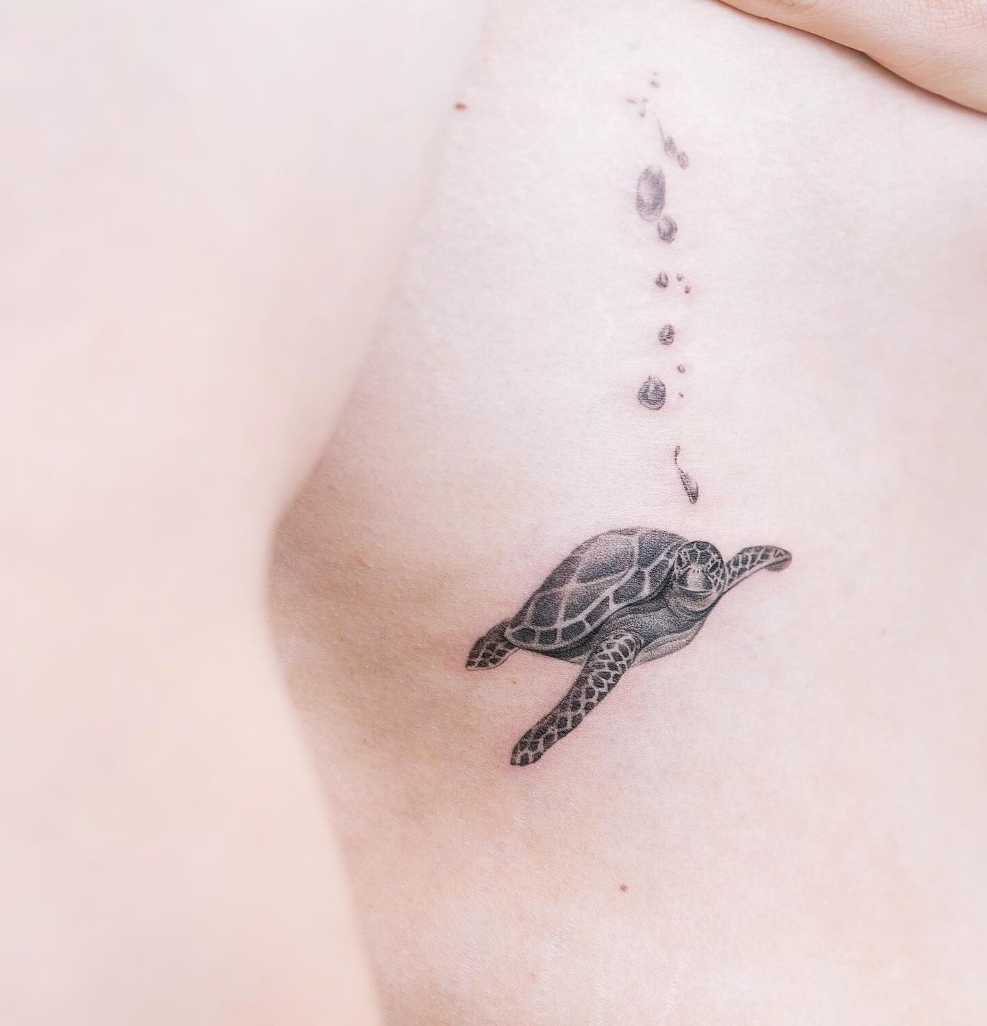 Micro-realistic turtle tattoo on the ribs