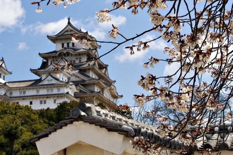 "white crane-castle-Japan-3"