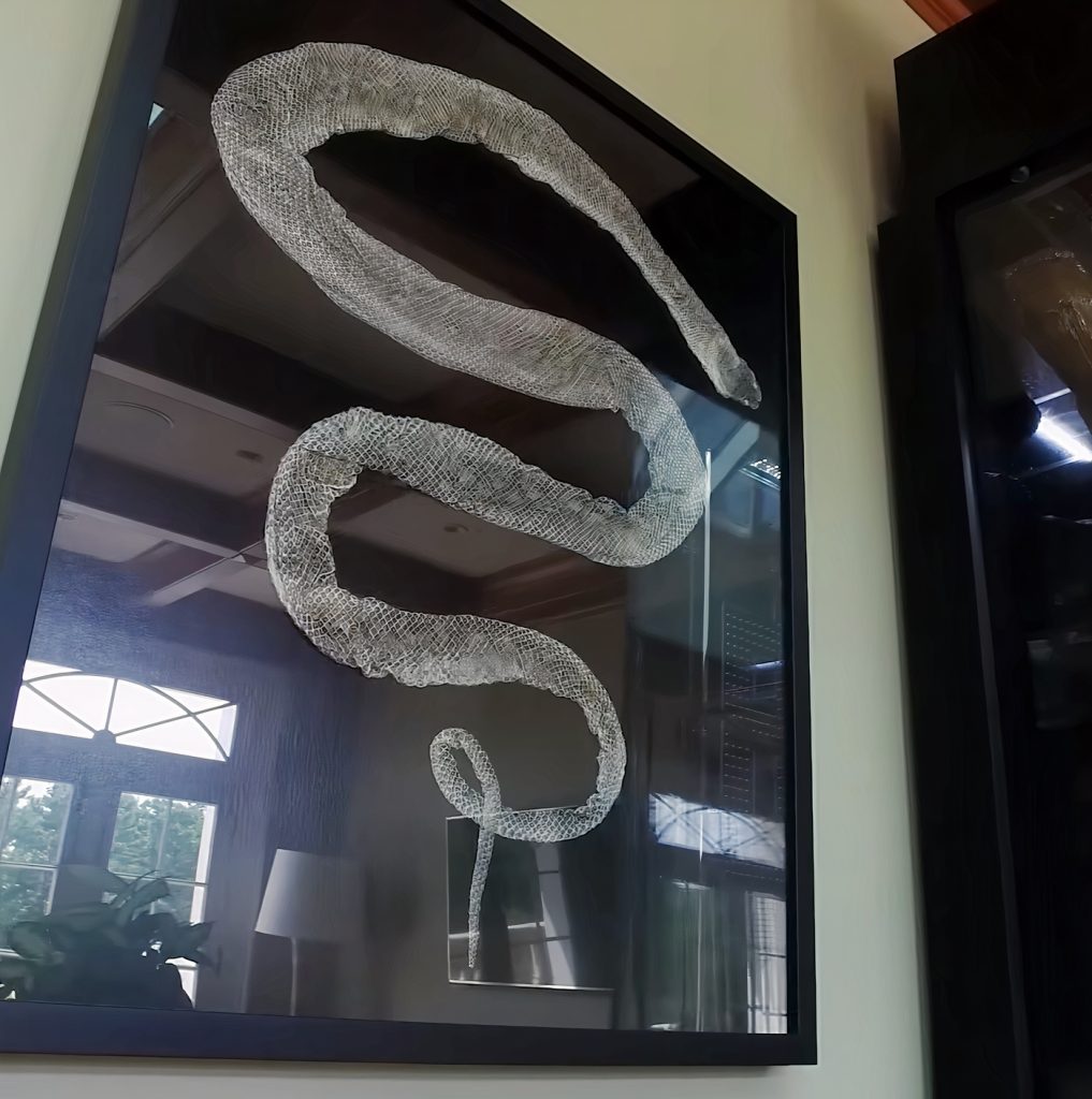 Pet Snake in Dwight Howard's GA Home