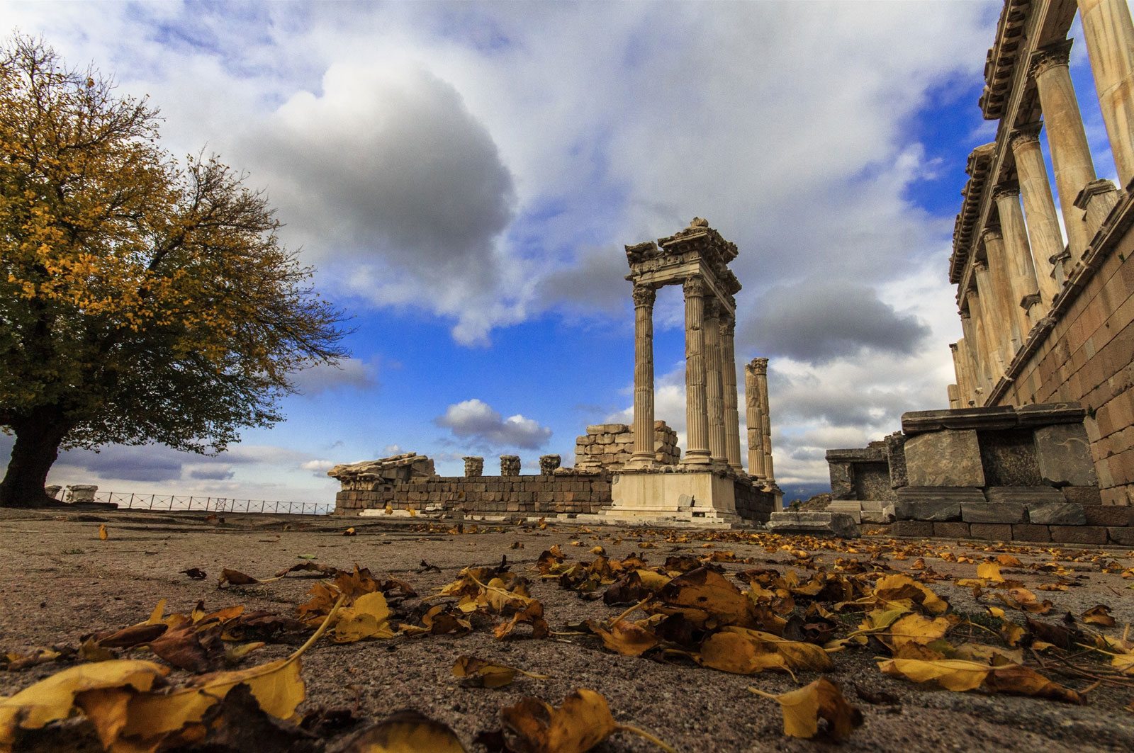 Bergama Belediyesi | AKROPOL