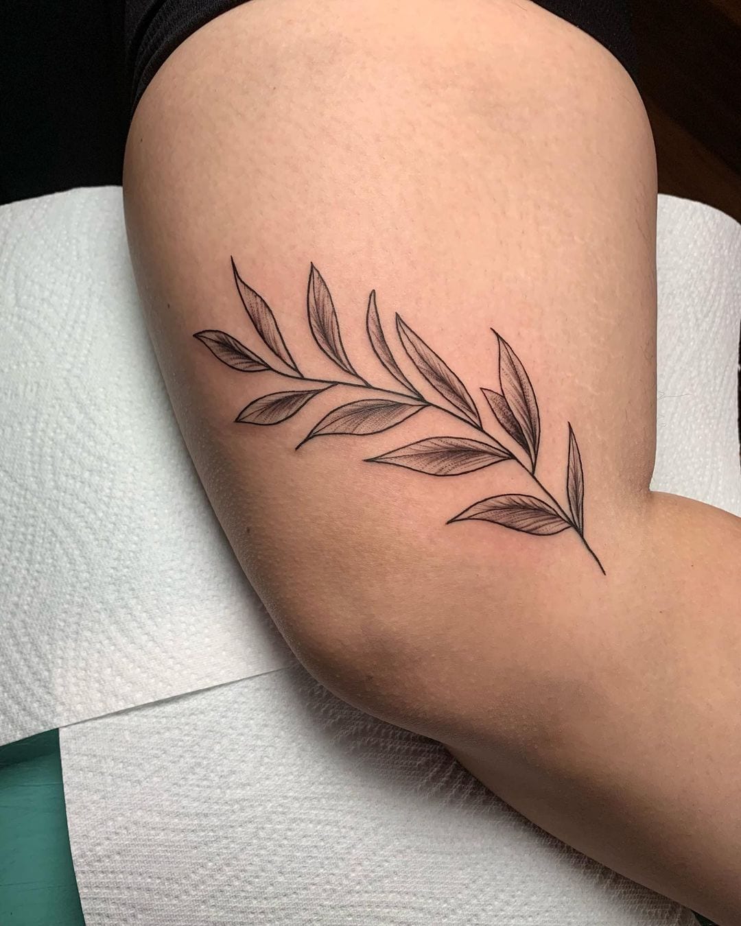 Simple Vine Tattoos