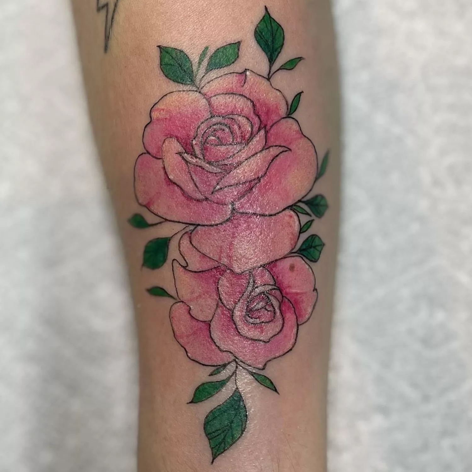 A close up of a pink, watercolor double rose tattoo with green leaves.