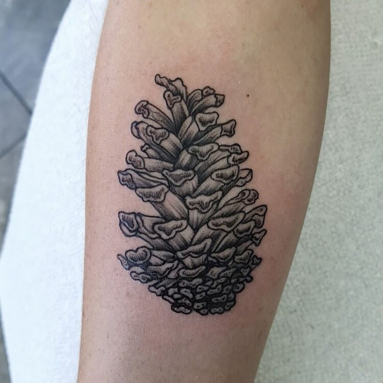 pinecone tattoo on arm