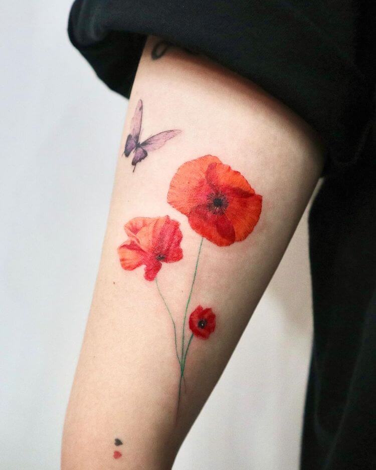 butterfly and poppies