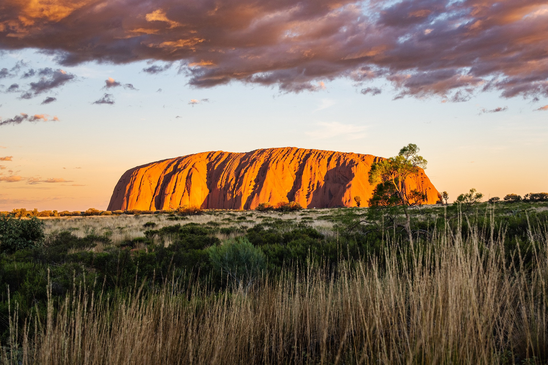 "uluru.jpg"